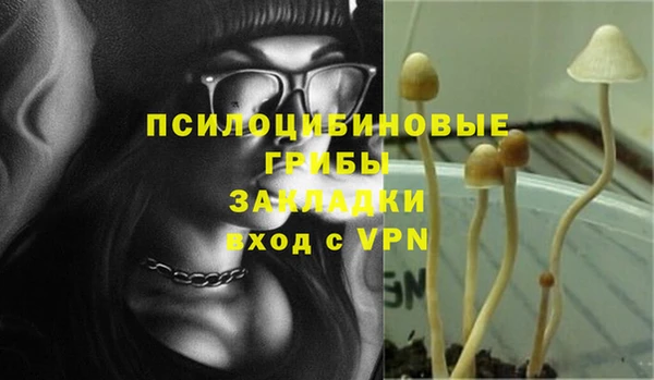 экстази Арсеньев