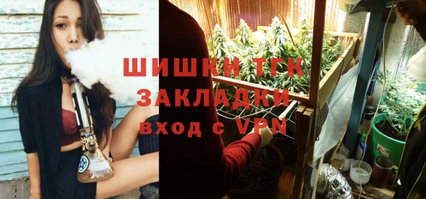экстази Арсеньев